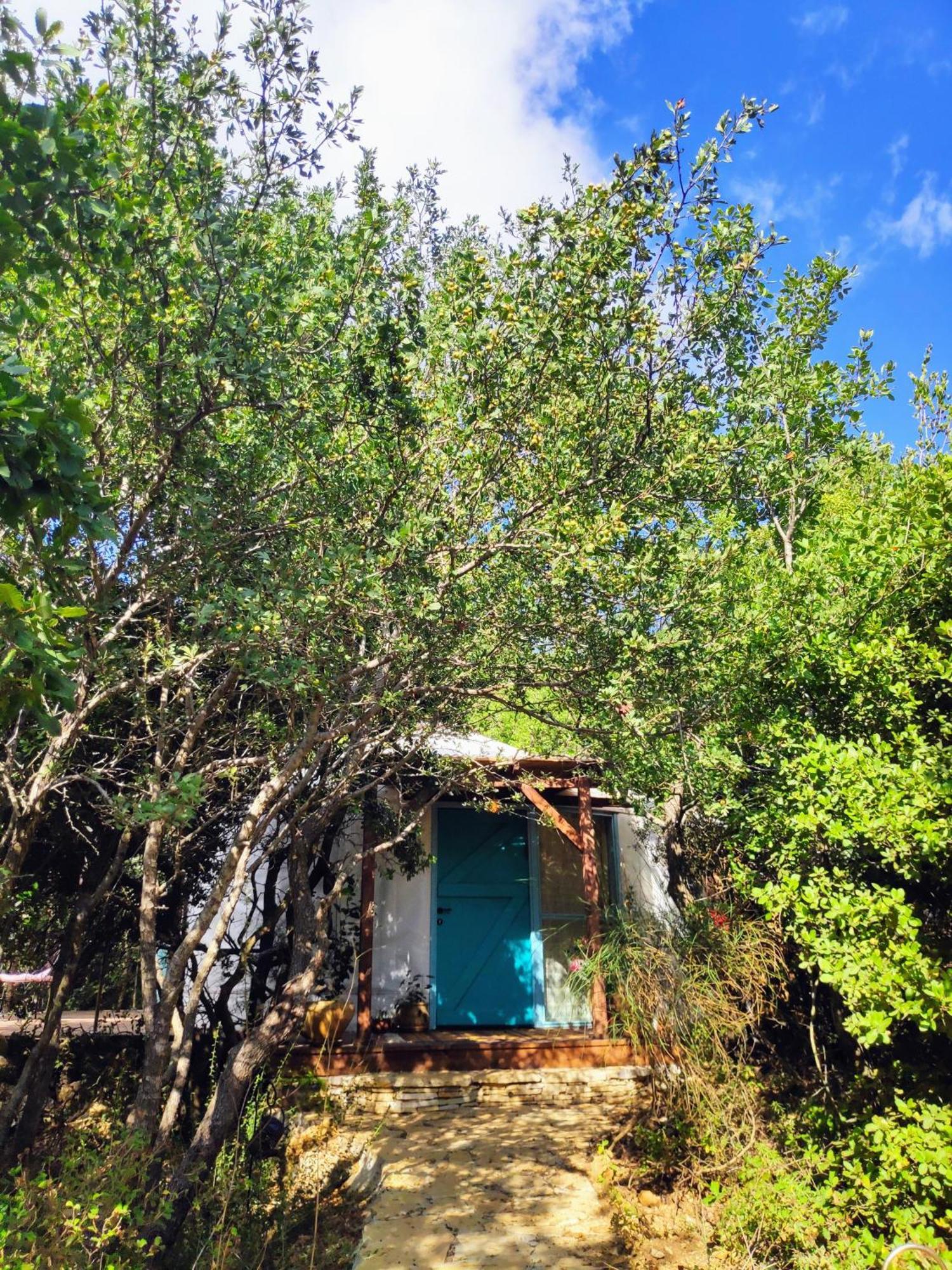 Love Frequency - יורט קסום במתת Exterior photo